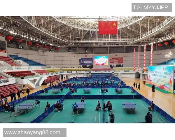 乒乓球激发全民运动热情的多元发展新趋势探索路径与策略分析前景展