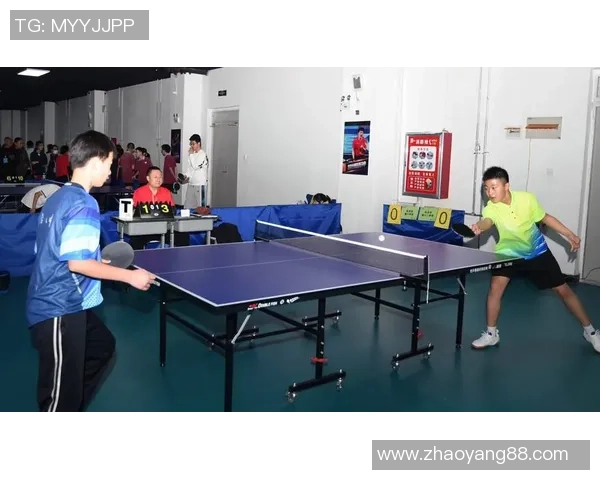 乒乓球点燃全民运动热潮的新时代多维度发展前景探索趋势研究新篇