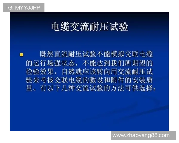 全面提升体能素质的科学方法与训练技巧探讨