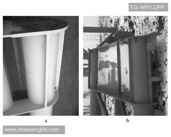 全面解读跳水运动发展历程与技战术演进及未来趋势研究分析探讨篇