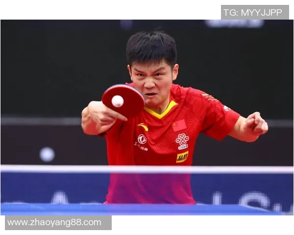樊振东再掀国乒热潮以坚韧与激情书写新一代乒坛传奇