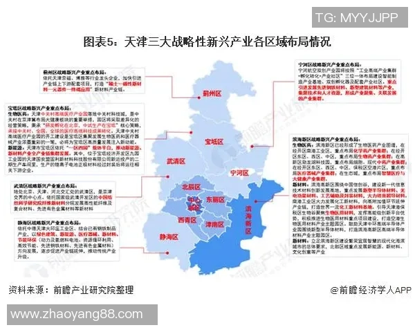 白鲨电子竞技俱乐部崛起背后的战略布局与未来发展方向分析