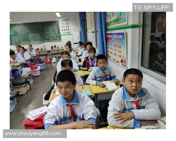 篮球场上的梦想与奋斗：从街头到职业的荣耀之路