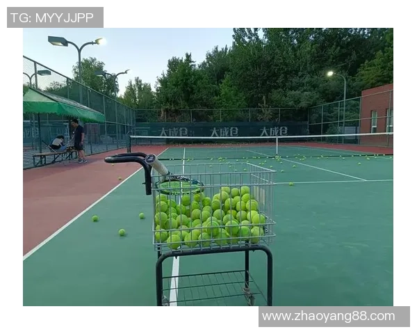 网球运动的技术与策略:从基础到精通的全面解析与提升路径 网球运动的技术与策略:从基础到精通的全面解析与提升路径