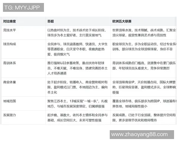苏超联赛最新动态分析及各队战力对比解析